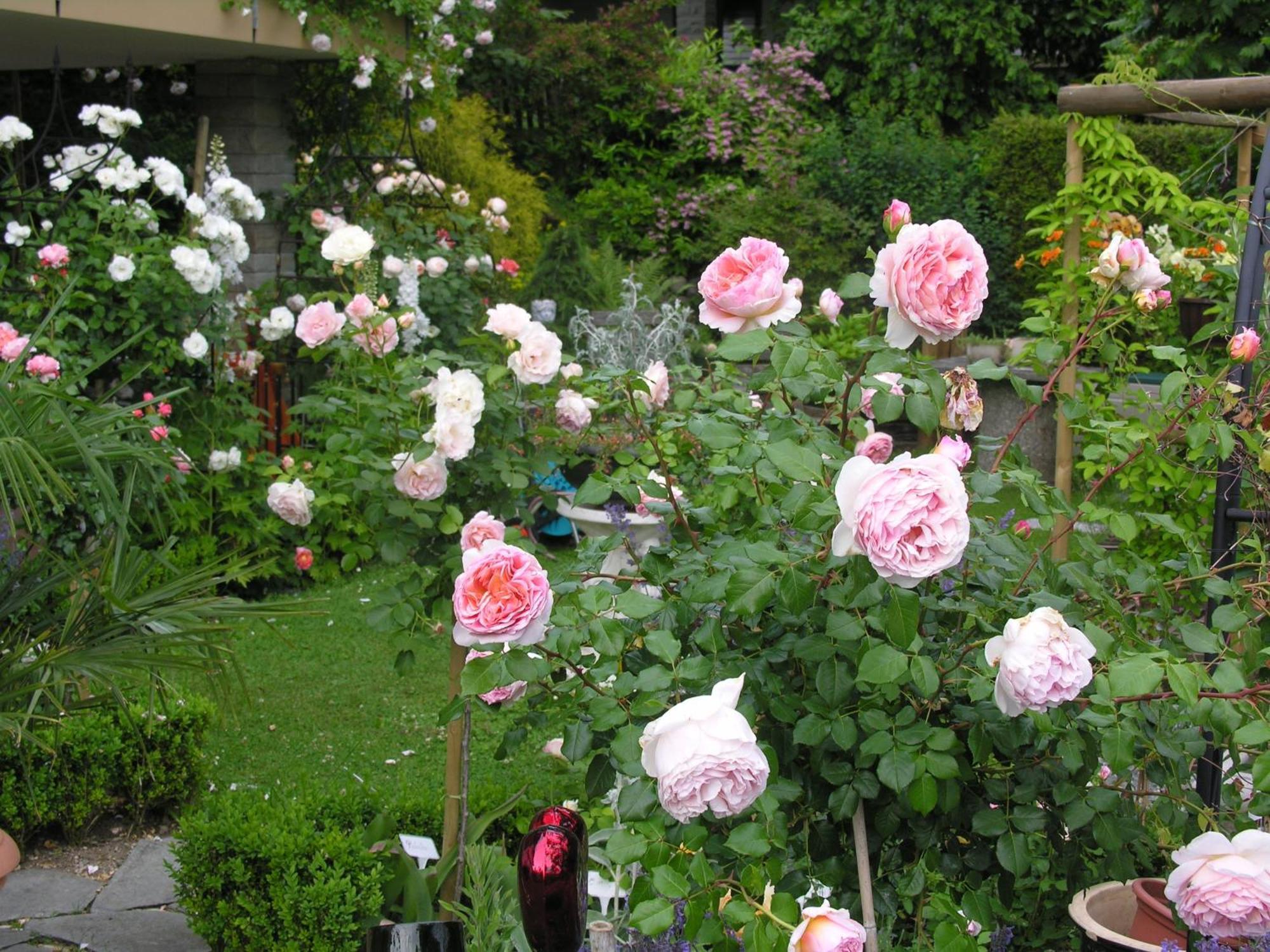 Im Roeseligarten Wolfhausen Zewnętrze zdjęcie
